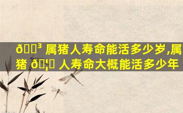 🐳 属猪人寿命能活多少岁,属猪 🦉 人寿命大概能活多少年